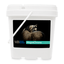 Load image into Gallery viewer, Mad Barn MagneChrome 5kg