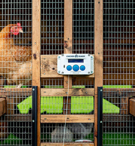 Chicken Coop Automatic Chicken Door Opener