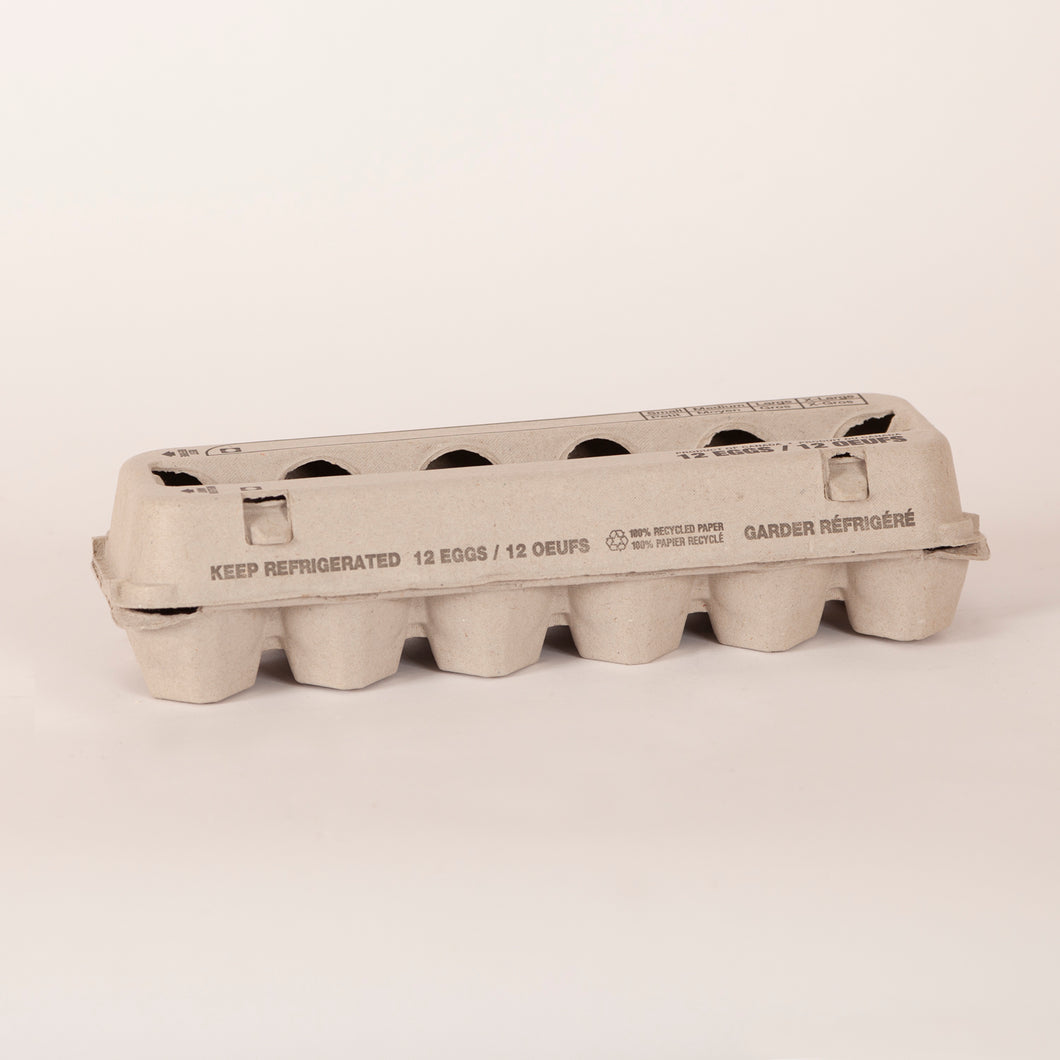 Open Top Paper Egg Carton 150 pieces