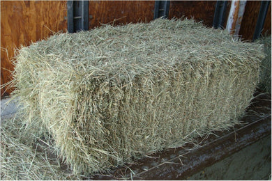 Hay- Bale Second Cut 2025