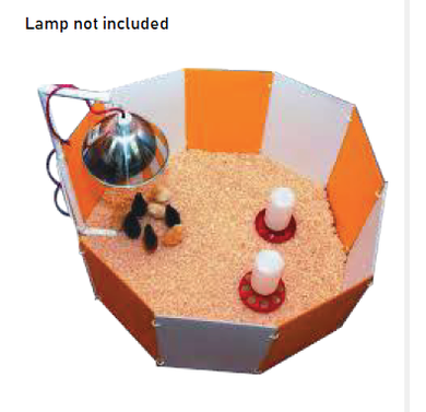 Chick Starter Home Brooder