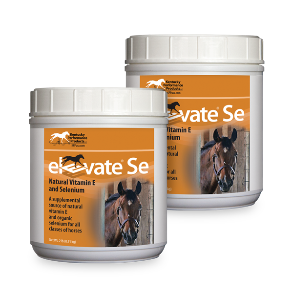 Kentucky Performance Elevate SE Powder 2lbs