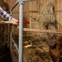 Load image into Gallery viewer, Manure Fork, 6 Tine G0613L