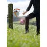 Load image into Gallery viewer, S12 Solar Lithium Energizer