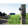 Wood Post Claw Insulator Black HD 100pk G67305 Gallagher
