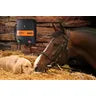 Load image into Gallery viewer, M800 Energizer Fencer