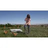Load image into Gallery viewer, Poultry Net 50m 164&#39;