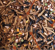 Load image into Gallery viewer, Scratch &amp; Peck Mix  (5 lbs) MEDIUM