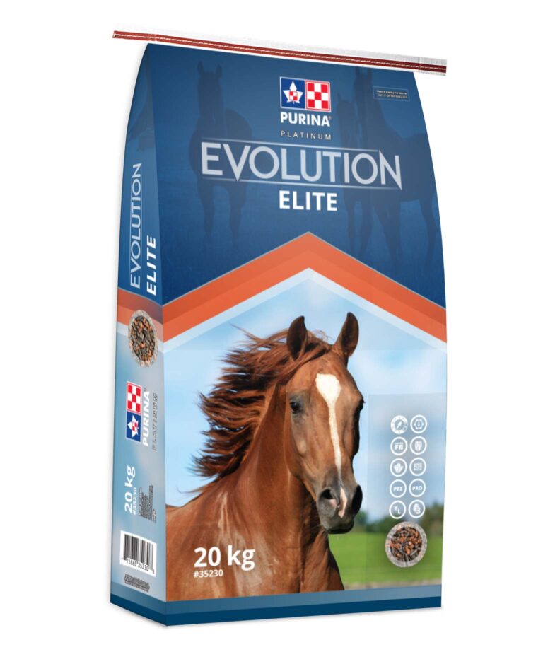 Evolution Elite 20 Kg PURINA