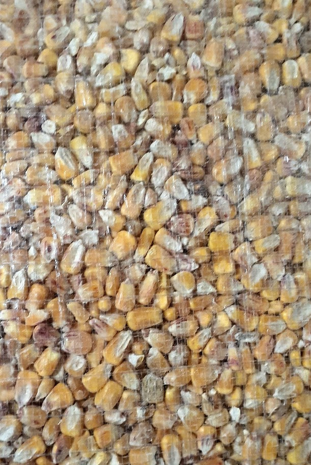 Whole Corn Cleaned 25kg