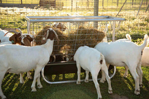 5' Sheep & Goat Feeder with Hayrack