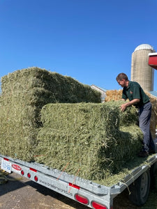 Hay- Bale First Cut