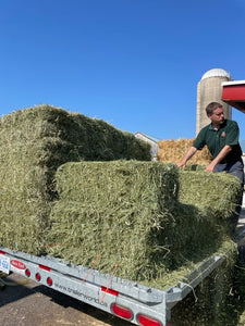 Hay- Bale First Cut