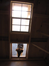 Load image into Gallery viewer, Barn Style Coop Deluxe 6'x12'