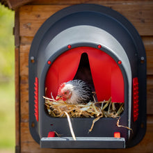 Load image into Gallery viewer, My Cozy Nest for Hens
