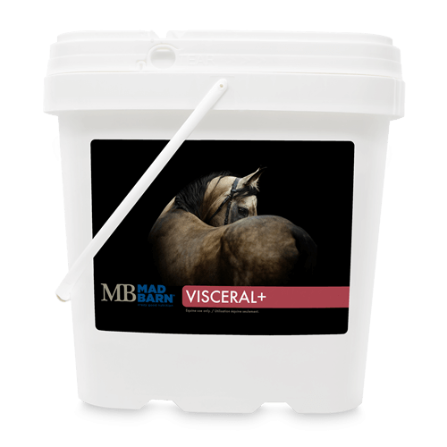 Visceral, Mad Barn 2.5kg