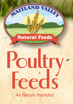 17% Poultry Layer Crumb 25 Kg  Non GMO - Jones