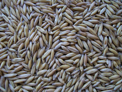 Oats, Whole  Ont  Cleaned  50 lb