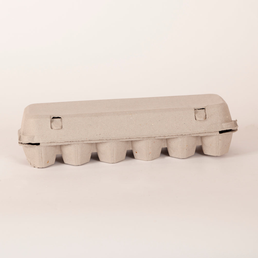 Flat Top Paper Egg Carton 125 pieces