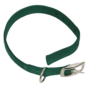 Calf Collar with Buckle 24" Green