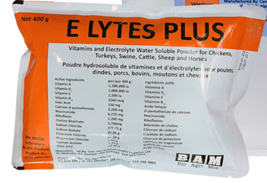Electrolytes Plus  400gm