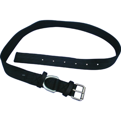 Heavy Nylon Cow Tie w/Buckle 39