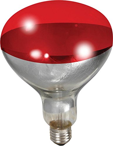 Heat Bulb by Miller 250W
