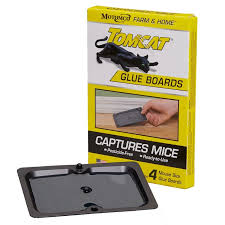 Rat Glue Board, TOMCAT/2 pk