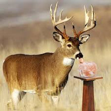 Load image into Gallery viewer, Himalayan Pasture Salt Rocks 5-7kg