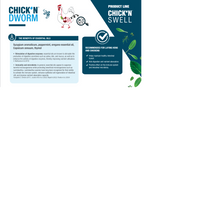 Load image into Gallery viewer, Chick'N DWORM 250mL