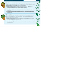 Load image into Gallery viewer, Chick'N DWORM 250mL