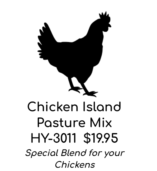 Settlers Poultry Pasture Mix 10lbs