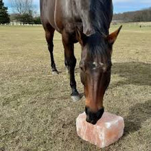 Load image into Gallery viewer, Himalayan Pasture Salt Rocks 5-7kg