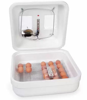 Incubator,  HOVA BATOR
