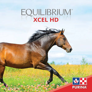 Xcel HD Excel Purina 20kg