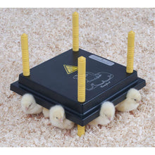 Load image into Gallery viewer, 10" Heating Plate