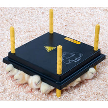 Load image into Gallery viewer, 12" Heating Plate
