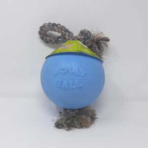 Jolly Ball Pet, 6" Romp-N-Roll Blueberry Ball