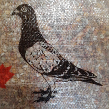 Load image into Gallery viewer, Pigeon Breeding Mix, 50lb
