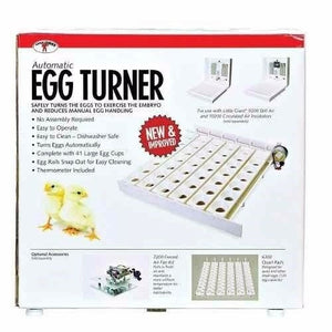 Egg Turner, Automatic