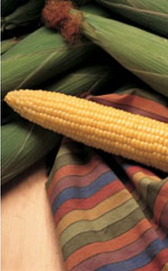 Sweet Corn,  HONEY SELECT  250gm