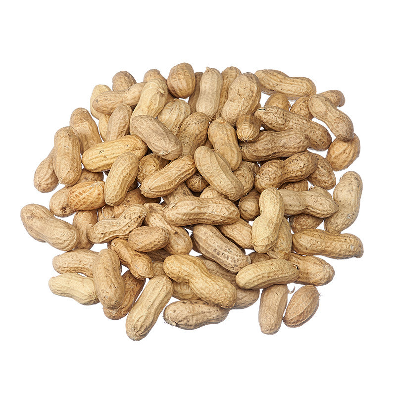 Bird Seed & Feed – Tagged 
