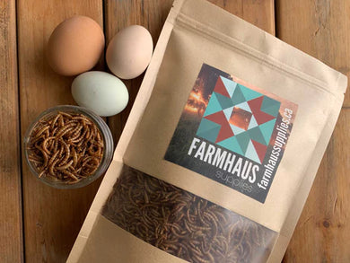 Meal Worms, dried 6oz