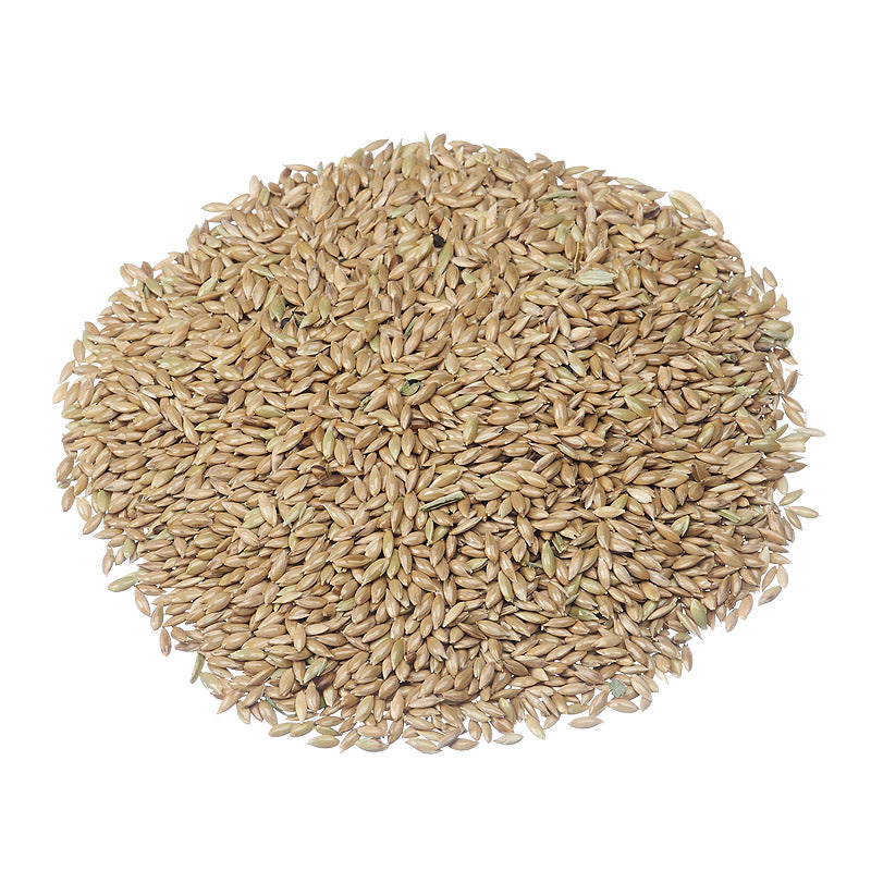 Bird Seed & Feed – Tagged 