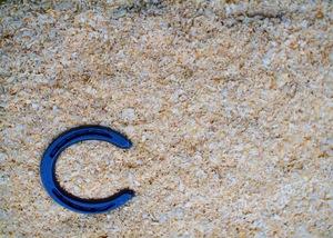 Shavings - Quick Pick Yellow