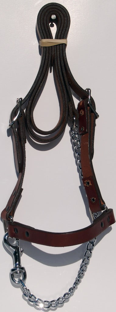 Leather Cow Show Halter w/Lead