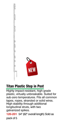 Post,  Plastic w/Steel Point  60