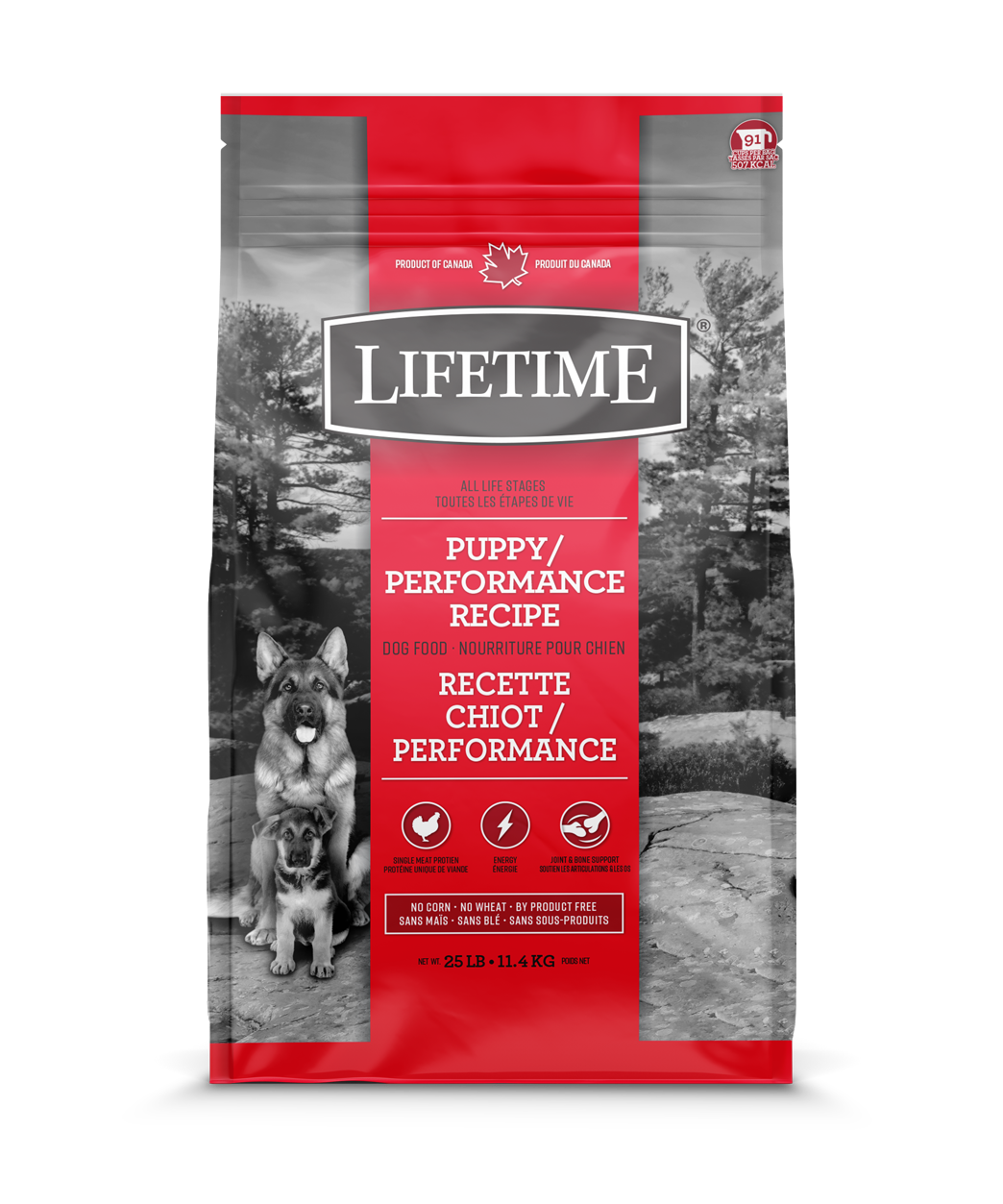 Lifetime puppy performance online