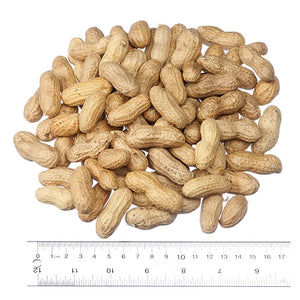 Peanuts In Shell, 50lb