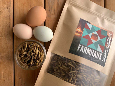 Dried Black Soldier Fly Larvae 1.5lbs